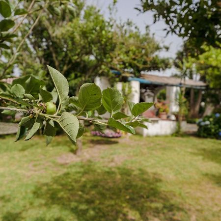 Le Querce Villa โปรชิดา ภายนอก รูปภาพ