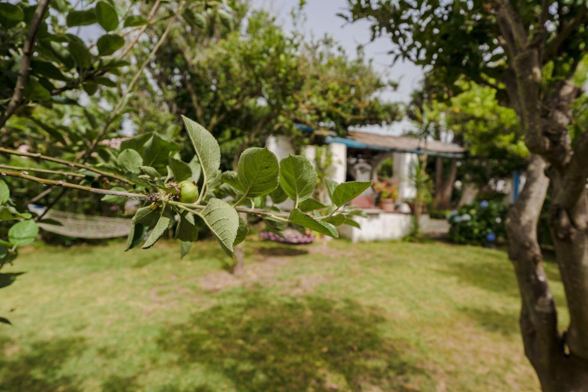 Le Querce Villa โปรชิดา ภายนอก รูปภาพ