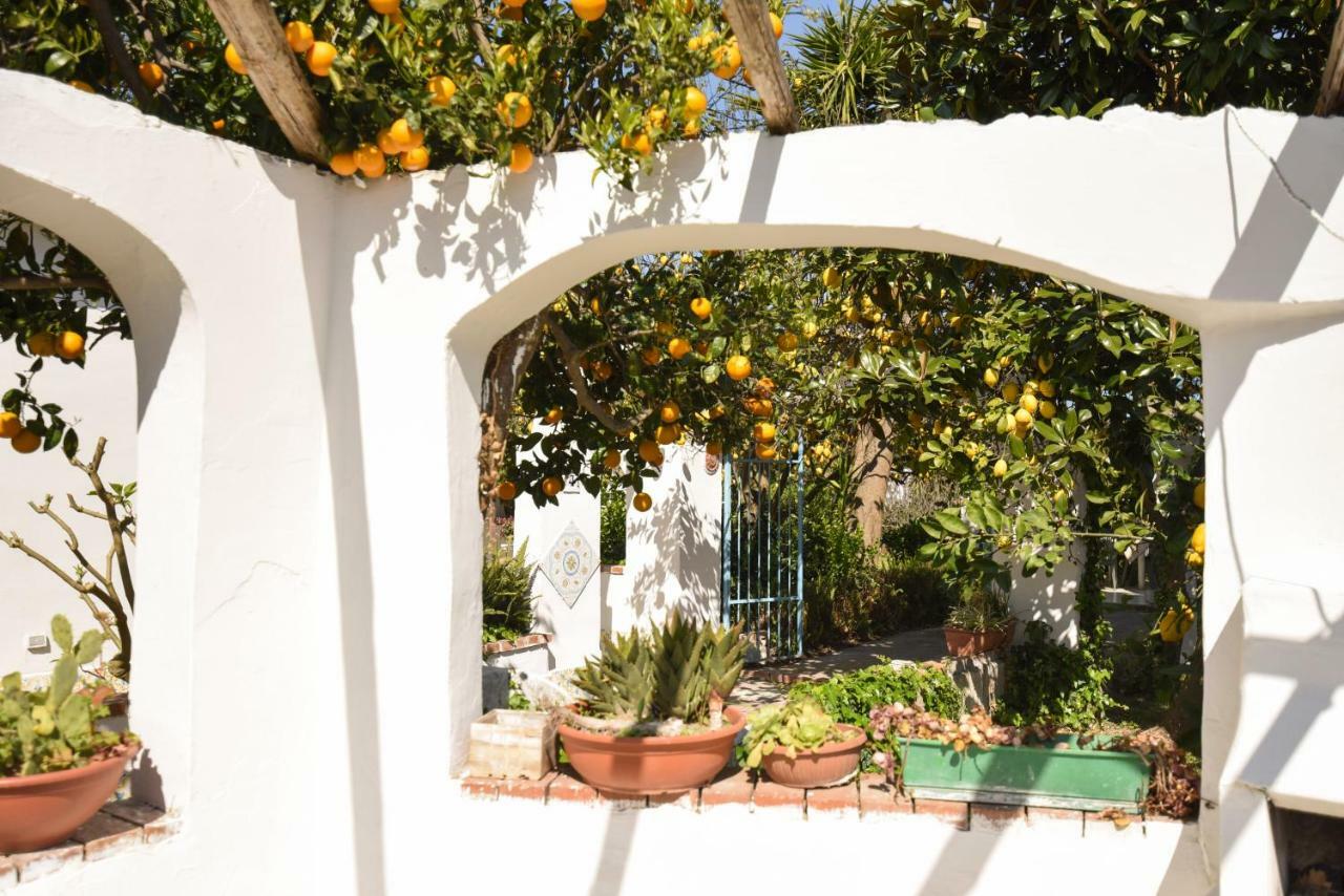 Le Querce Villa โปรชิดา ภายนอก รูปภาพ
