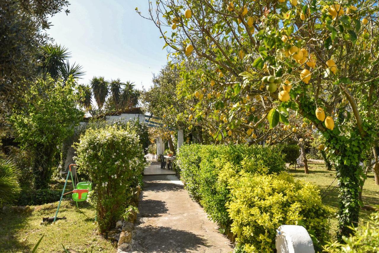 Le Querce Villa โปรชิดา ภายนอก รูปภาพ