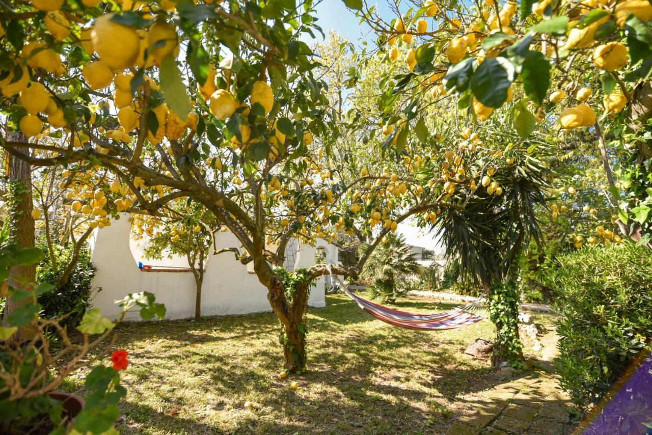 Le Querce Villa โปรชิดา ภายนอก รูปภาพ